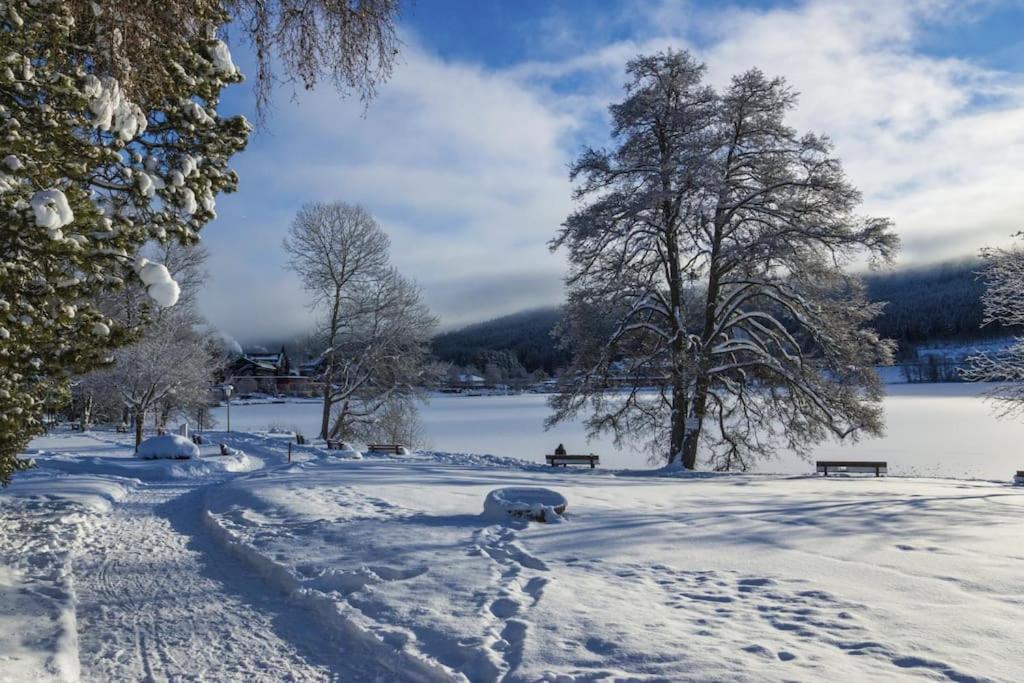 Waldklang Titisee Esterno foto