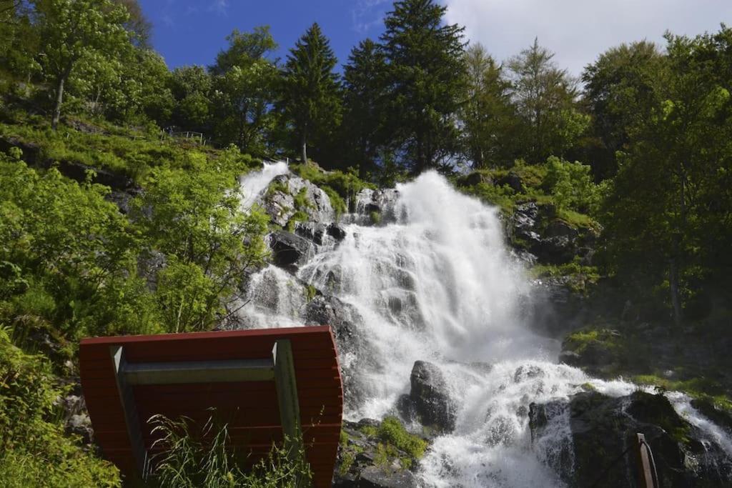 Waldklang Titisee Esterno foto