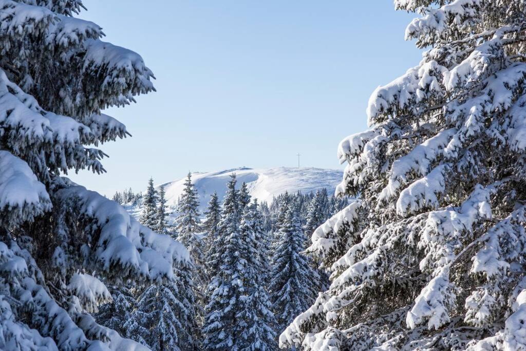 Waldklang Titisee Esterno foto