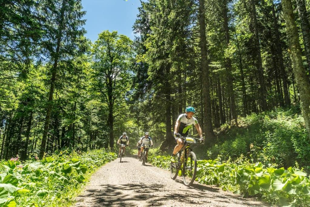 Waldklang Titisee Esterno foto